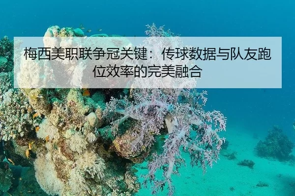 mei-xi-mei-zhi-lian-zheng-guan-guan-jian-chuan-qiu-shu-ju-yu-dui-you-pao-wei-xiao-lv-de-wan-mei-rong-he-2-127.jpg